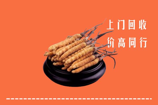收购行情：铁岭市西丰回收散虫草